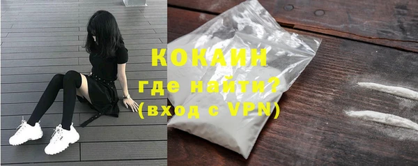 гашик Михайловск