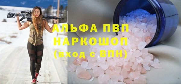 индика Михайловка