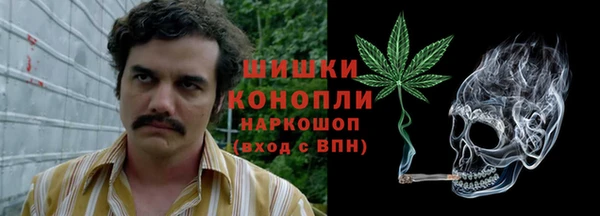 мдпв Михайлов