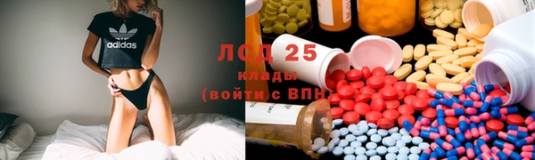 гашик Михайловск