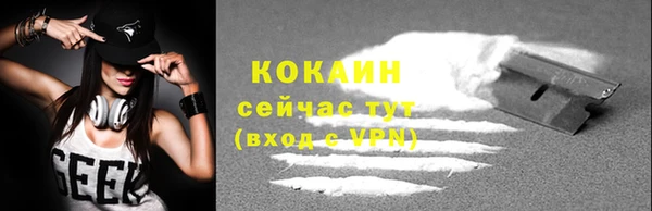 индика Михайловка