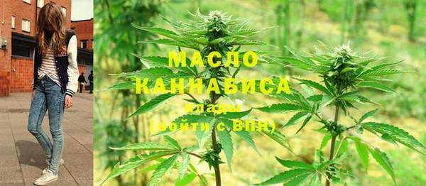 мдпв Михайлов
