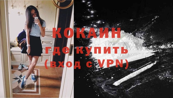 индика Михайловка