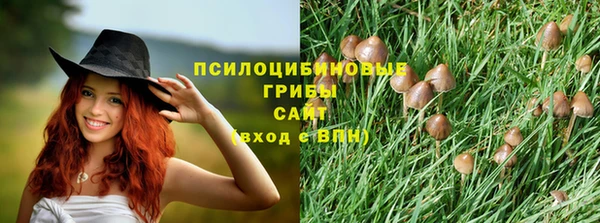 индика Михайловка