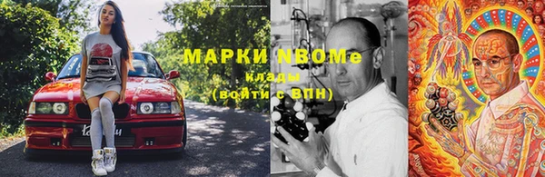 гашик Михайловск