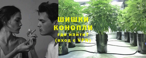 мдпв Михайлов