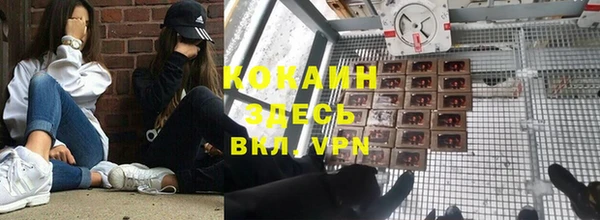 гашик Михайловск