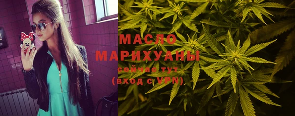 мдпв Михайлов