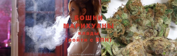 мдпв Михайлов