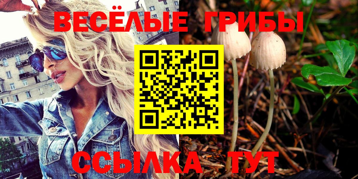 Галлюциногенные грибы Magic Shrooms  как найти закладки  Вход с VPN  Братск  Псилоцибиновые грибы Psilocybe 